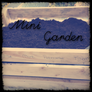 Mini garden 0